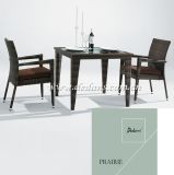 Prairie Outdoor PE Rattan Dining Table & Dining Chair (Outdoor/Garden Furniture)