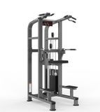 2023 Realleader New Gym Fitness Equipment-Chip/DIP Assist