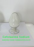 Raw Material CAS 64485-93-4 Cefotaxime Spot Price Discount Russia Hot Sale