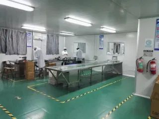 ct9r101gv6tc73bgvbvg.webp