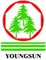 Qingdao Youngsun Business & Trade Co., Ltd. logo