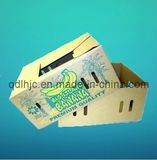 Printed Fruit Carton