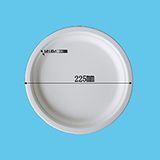 Biodegradable Sugar Cane Bagasse Pulp Disposable Plate