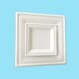 Factory Price Biodegradable Sugarcane Bagasse Square Plate