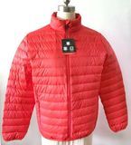 Man′s Down Jacket