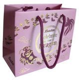 Hot Stamping Luxury Art Paper Gift Bags