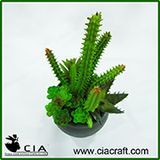 Best Selling High Imitation Plastic Mini Potted Succulent Artificial Desert Cactus Plant