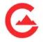 Company icon