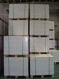 C2s Art Paper, Woodfree Offset, Newsprint Paper, Copy Paper, Kraft Paper, Others