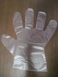 Disposable Poly Glove/ PE Glove/ Plastic Glove/ Disposable Glove