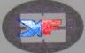 Company icon