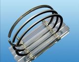 Piston Ring