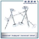 Umbrella Head Roofing Nails Supplier in China