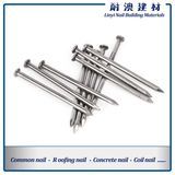 Polish Common Nail/Wood Nails Used for Wooden Furniture