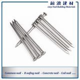 Common Wire Nail/Polish Common Nail Manufacture