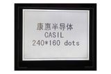 240*160 Dots FSTN LCD Module for Consumer Electronic