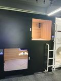 Starsdove Steel Wooden Capsule Style Bunk Bed Hotel Sleeping Pod Hotel Cabin Japan Metal Iron Modern Hotel Furniture School Beds