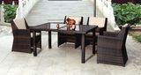 Wicker/Rattan Table and Chair (2009-064DT&2009-114C)