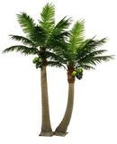 Wholesale High Imitation Hot Sale Decorative Manufacture Decorative Coconut Tree for Indoor with Competitive Price