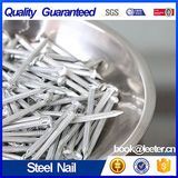 Galvanized Steel Nails / Cement Nail
