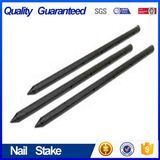 Nail Stakes