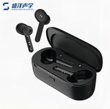 Business Style Tws Earbud Tt06b