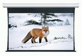 Tab-Tensioned Projection Screen