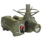 Intelligent Electric Actuators