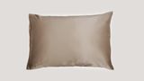 22mm Mulberry Silk Pillowcase for Hair
