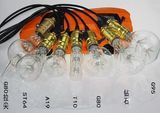 Vintage Bulbs Tree Bulbs /Star Bulbs St64 G125 G95 A60 C37 D95 Decoration LED Edison Bulbs