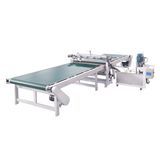 Cabinet Paint Machine UV Curtain Coating Coater