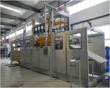 Three-Station Vacuum Thermoforming Machine for Refridgerator Cabinet Liner-Production Line