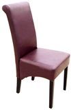 Dining Chair (YTC03)