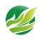 Company icon