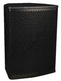 Professional Speaker (PA-12)