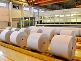 Coated Art Paper