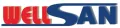 Shenzhen Wellsan Technology Co., Ltd. logo