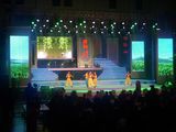 Shenzhen Dsp Electric Co.,Ltd High Definition Stage LED Screen P16