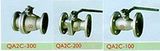 Ningbo Zhiqing Industrial Company Limited (Ningbo Zhiqing Valve Co., Ltd.) Casting Steel Flanged Ball Valve