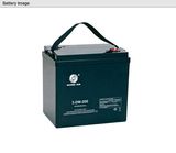 Shandong Sacred Sun Power Sources Co., Ltd. (Shenzhen Office) DM Series Battery