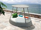 Flower King/Queen New Style Rattan Sunbed Furniture