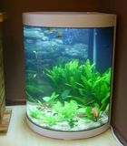 Heibei Lidia Aquarium Tech Co., Ltd. Corner Aquarium Tank
