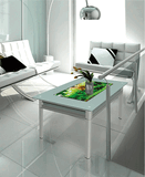 Heibei Lidia Aquarium Tech Co., Ltd. Aquarium Dinner Table