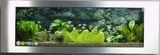 Heibei Lidia Aquarium Tech Co., Ltd. Wall Aquarium Tank