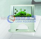 Aquarium Screen
