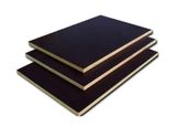 Well Save (Changzhou) Building Materials Co., Ltd Plywood, Poplar Plywood