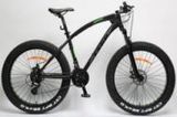 Well Save (Changzhou) Building Materials Co., Ltd 26inch Fatbike