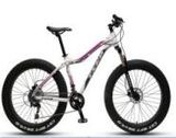 Well Save (Changzhou) Building Materials Co., Ltd 26inch Bike