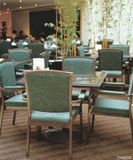 Guangzhou Rzq International Co., Ltd Banquet Chair