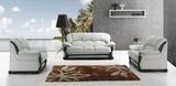 Piwangshijia-Dongsen Furniture Factory Leather Living Room Sofa (A192)